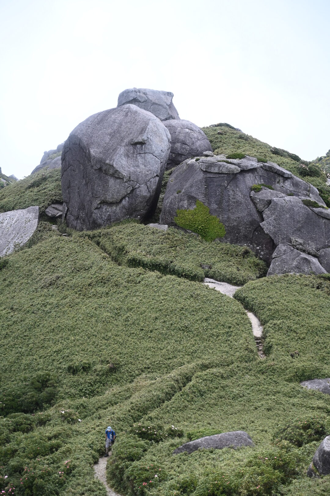 屋久島の山中に点在する奇岩